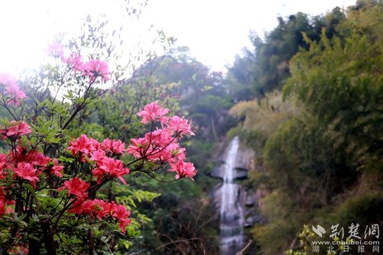 黃龍山頂，風(fēng)景如畫 黃錚 攝_副本.jpg.jpg